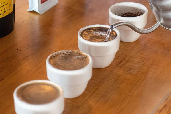 Cupping - Barista un Espresso