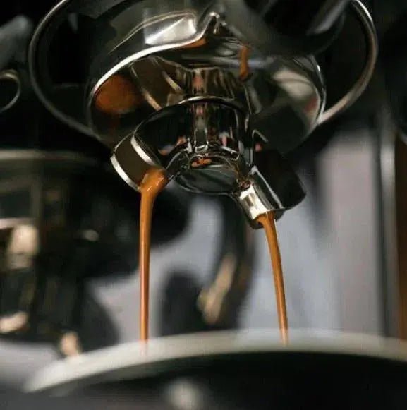 Populārs - Barista un Espresso