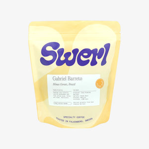 Gabriels Barreto - Brazīlija